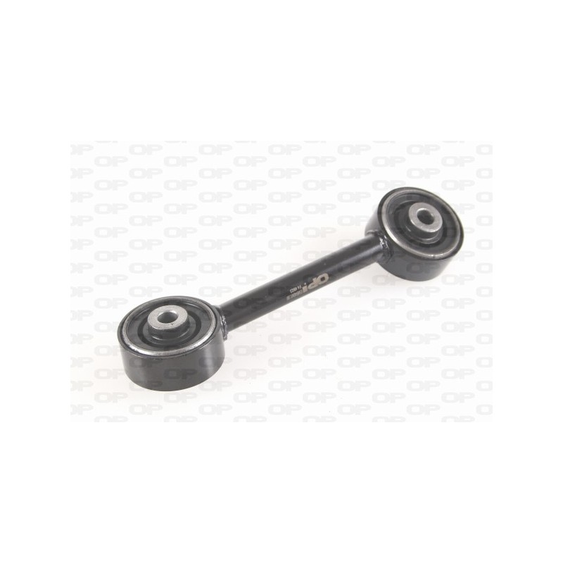 Supporto Motore EMS4041.00