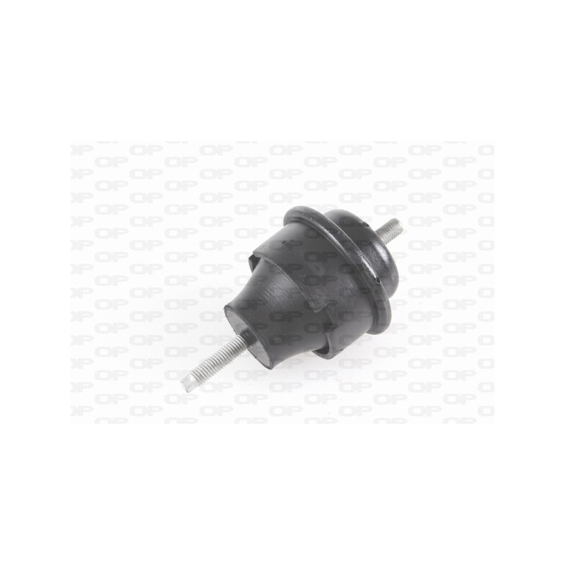 Supporto Motore EMS4043.00