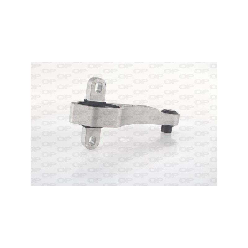 Supporto Motore EMS4053.00