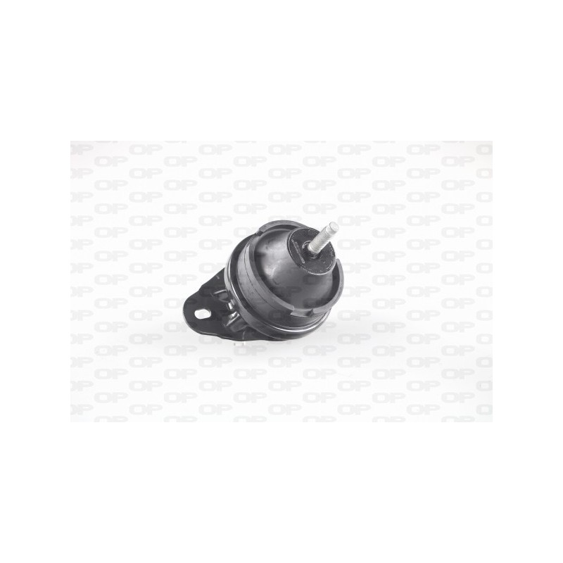 Supporto Motore EMS4054.00