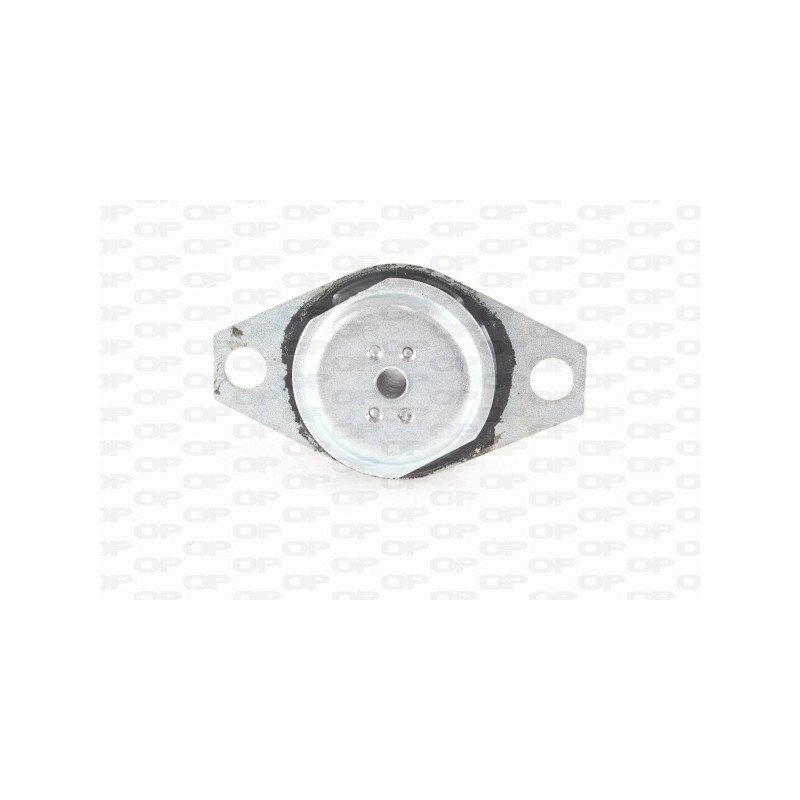 Supporto Motore EMS4059.00