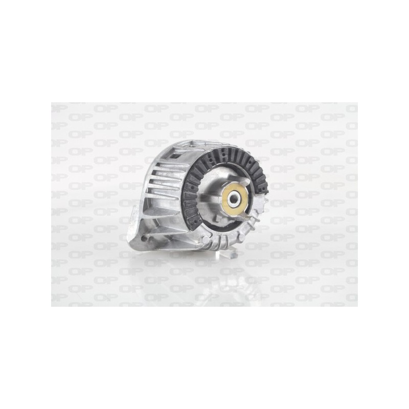 Supporto Motore EMS4063.00