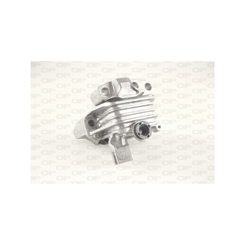 Supporto Motore EMS4066.00