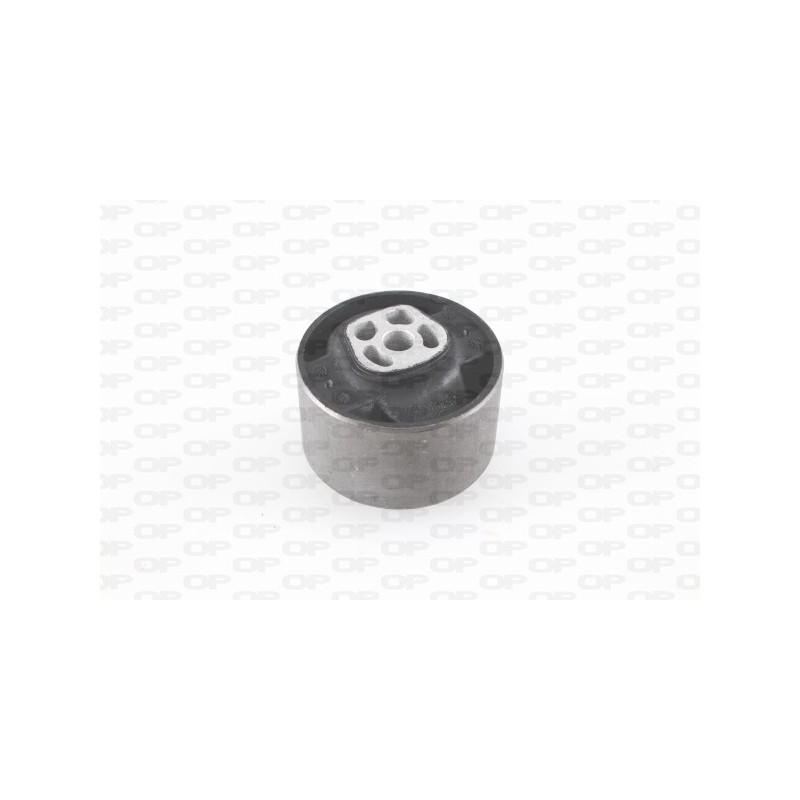 Supporto Motore EMS4069.00