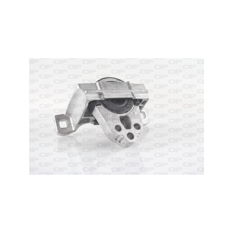 Supporto Motore EMS4071.00