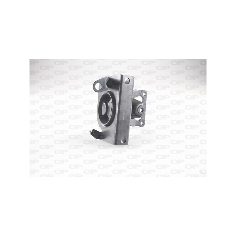 Supporto Motore EMS4074.00