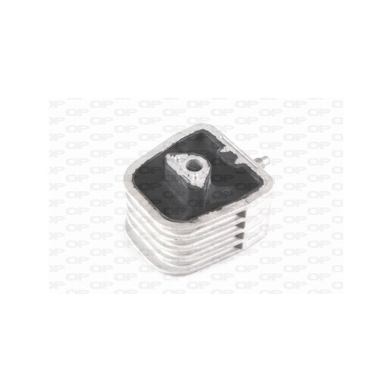 Supporto Motore EMS4081.00