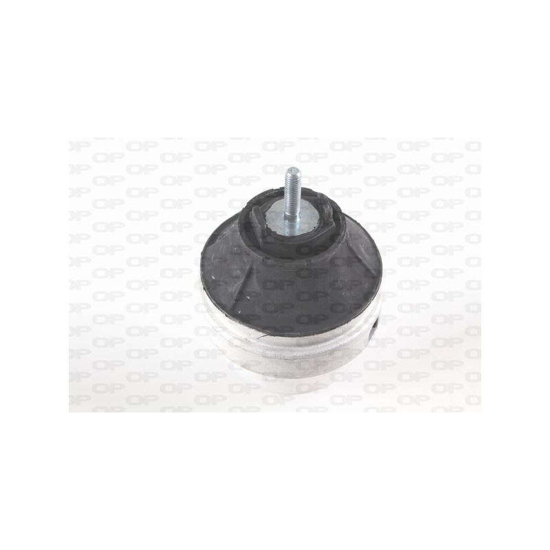 Supporto Motore EMS4087.00