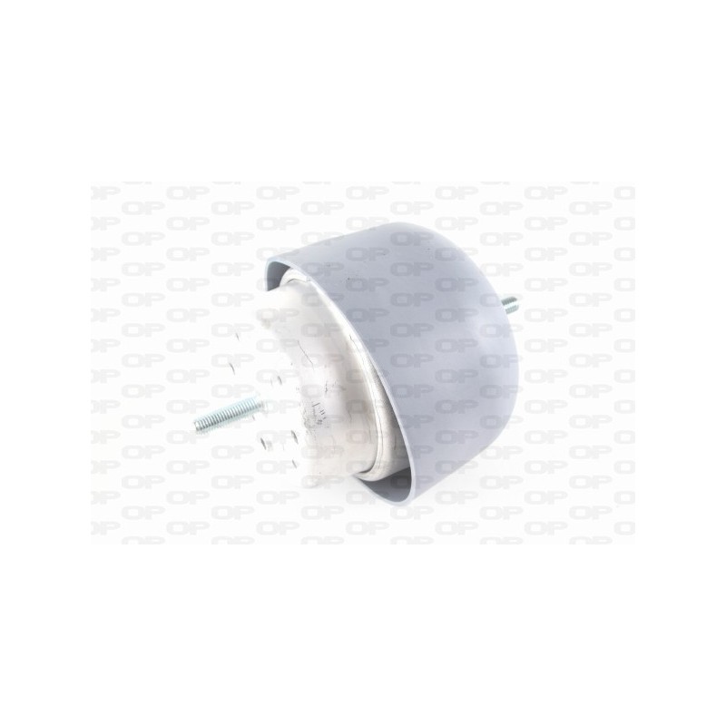 Supporto Motore EMS4090.00