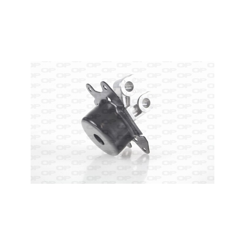 Supporto Motore EMS4096.00