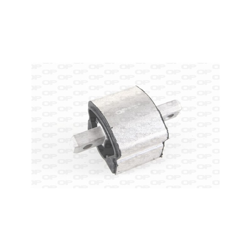Supporto Motore EMS4100.00