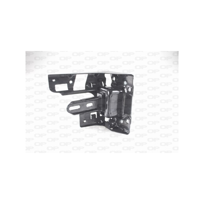Supporto Motore EMS4102.00