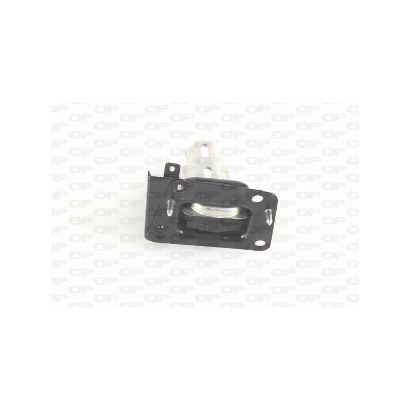 Supporto Motore EMS4104.00