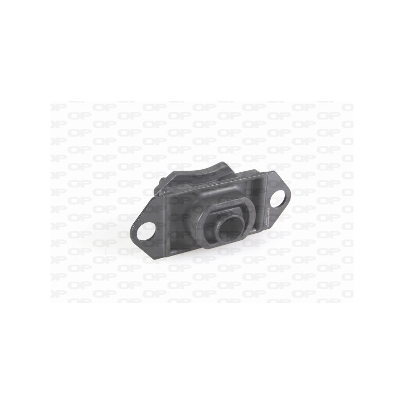 Supporto Motore EMS4105.00