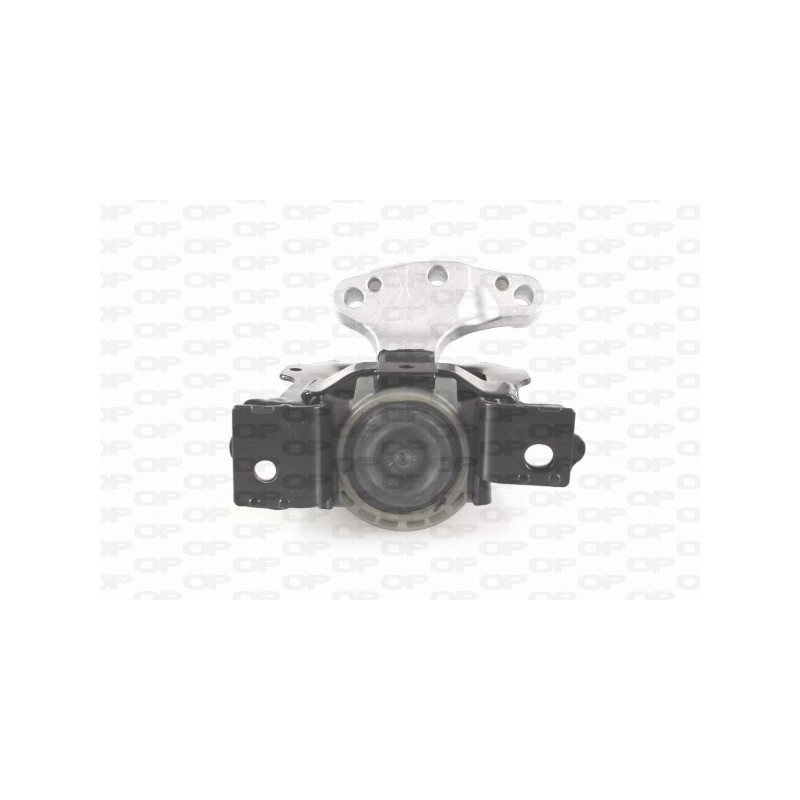 Supporto Motore EMS4106.00