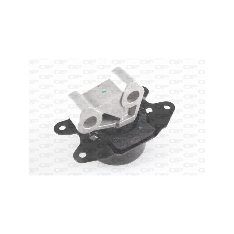Supporto Motore EMS4116.00
