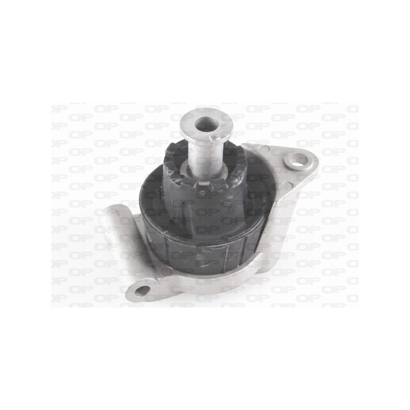 Supporto Motore EMS4117.00