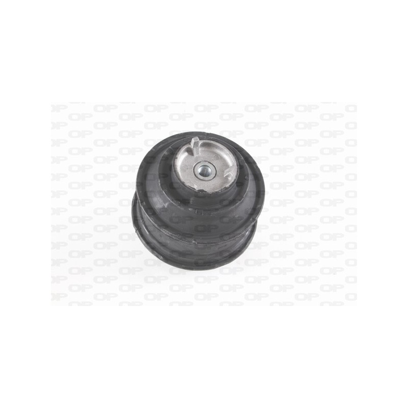 Supporto Motore EMS4120.00