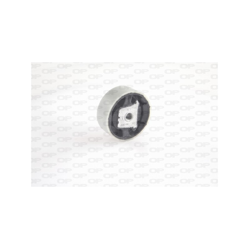 Supporto Motore EMS4123.00