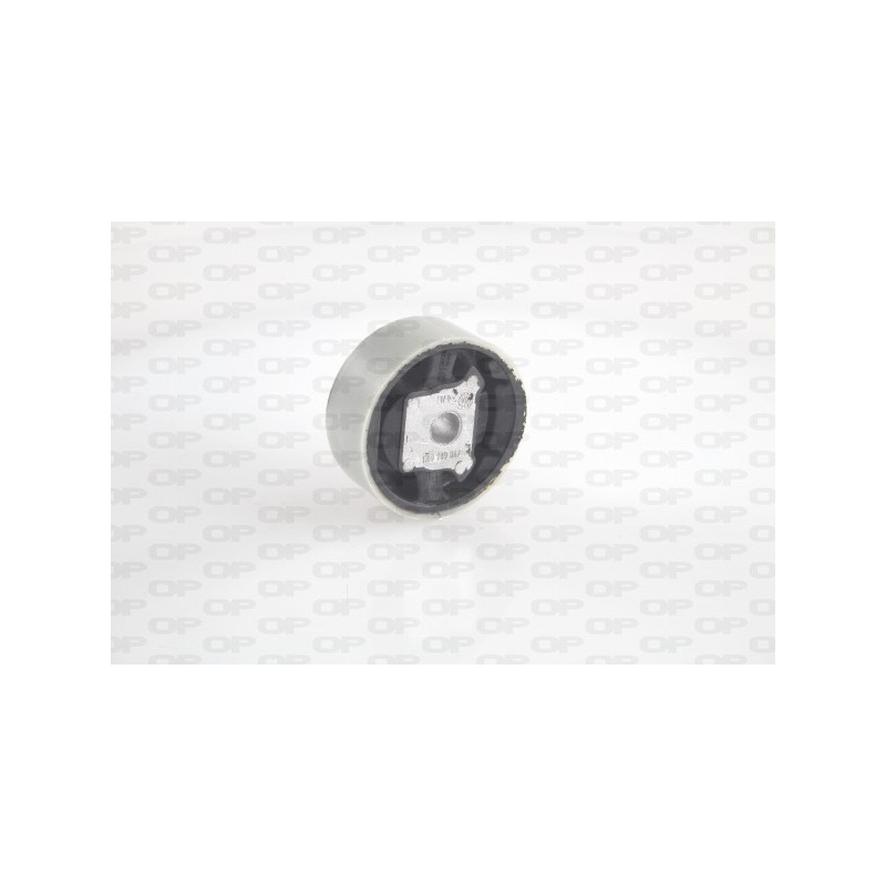 Supporto Motore EMS4124.00