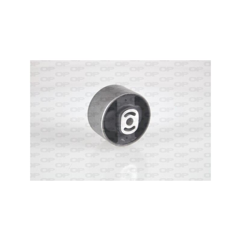 Supporto Motore EMS4125.00