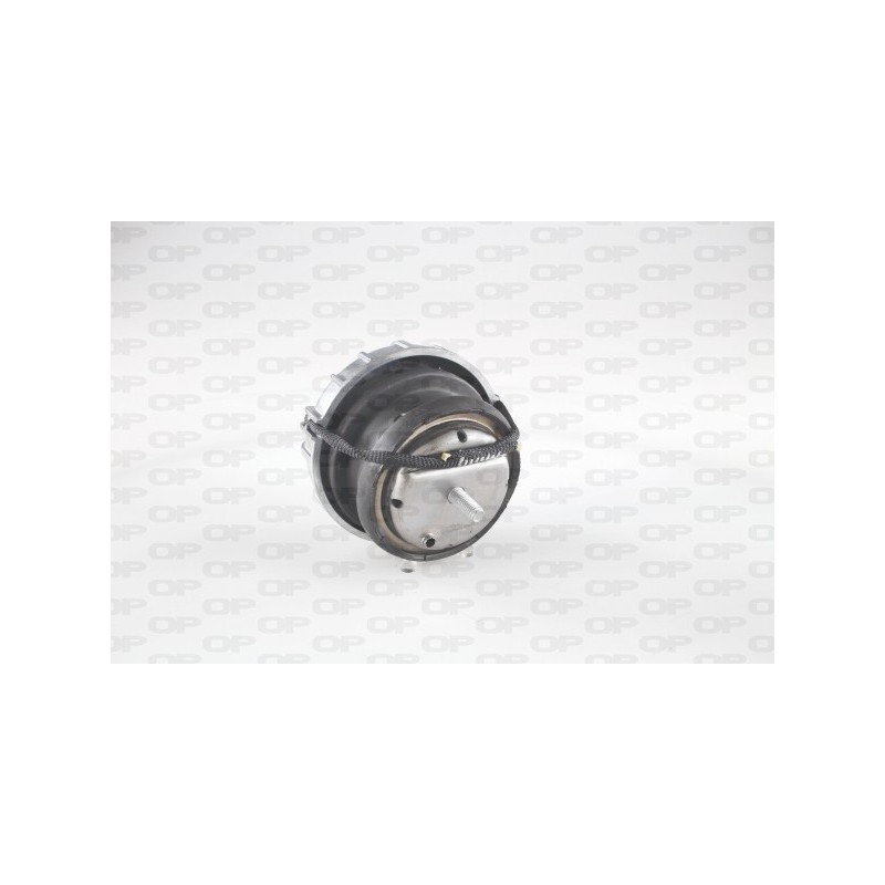 Supporto Motore EMS4128.00