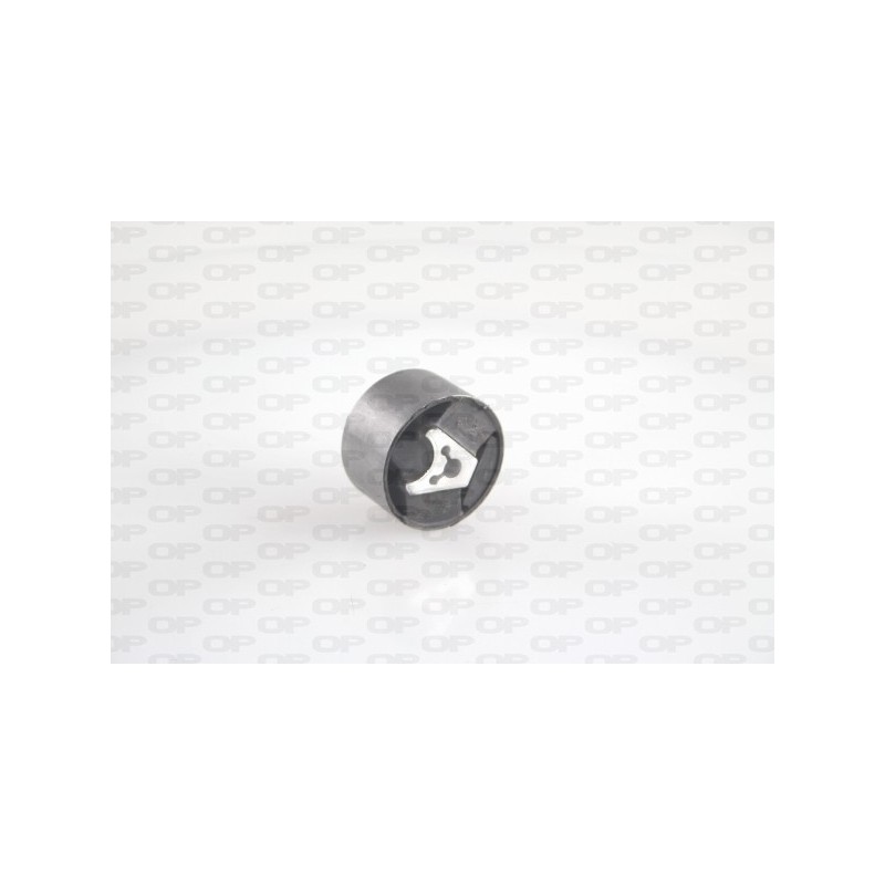 Supporto Motore EMS4131.00