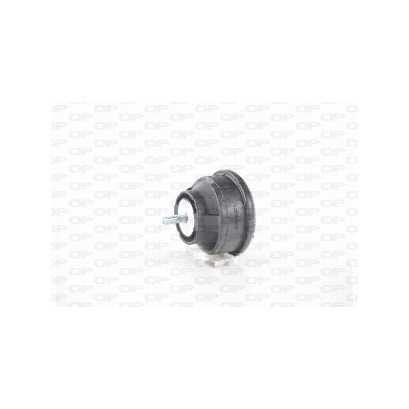 Supporto Motore EMS4134.00
