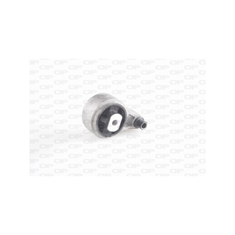 Supporto Motore EMS4137.00
