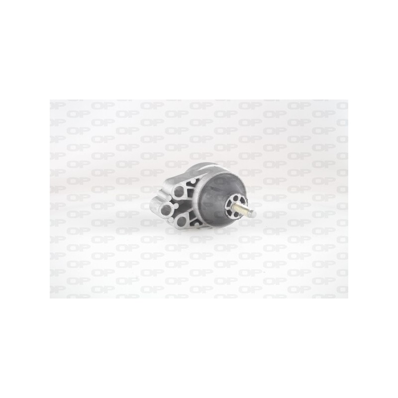 Supporto Motore EMS4142.00