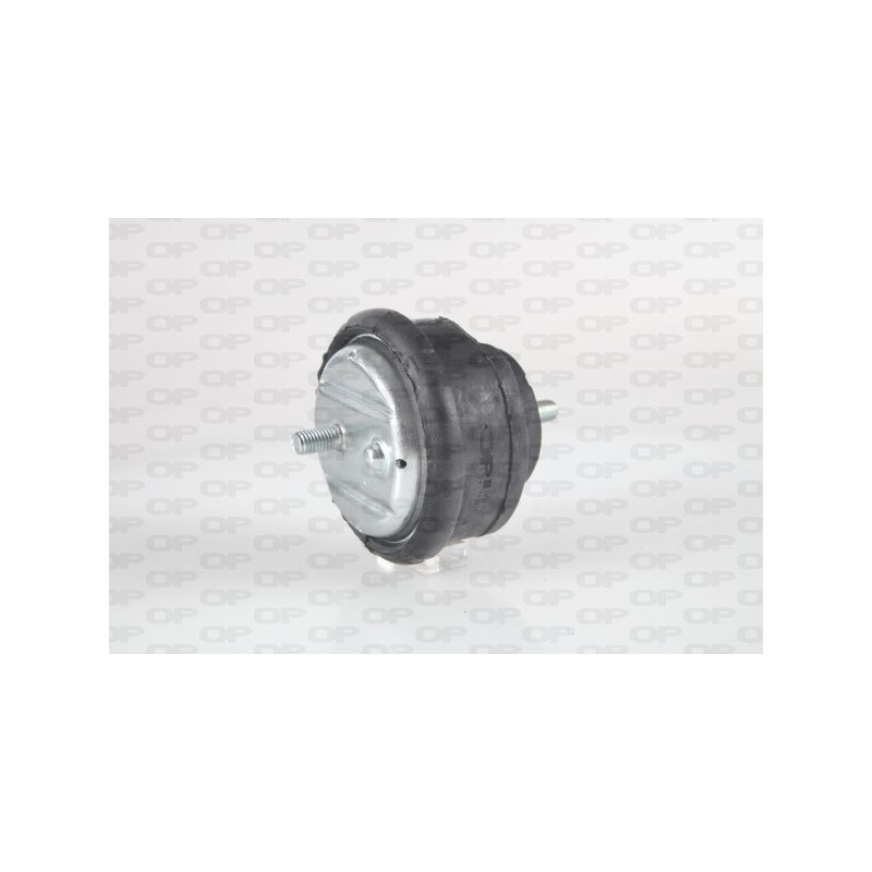 Supporto Motore EMS4143.00