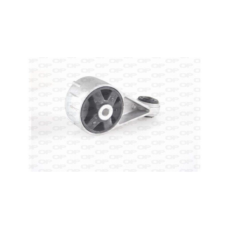Supporto Motore EMS4144.00