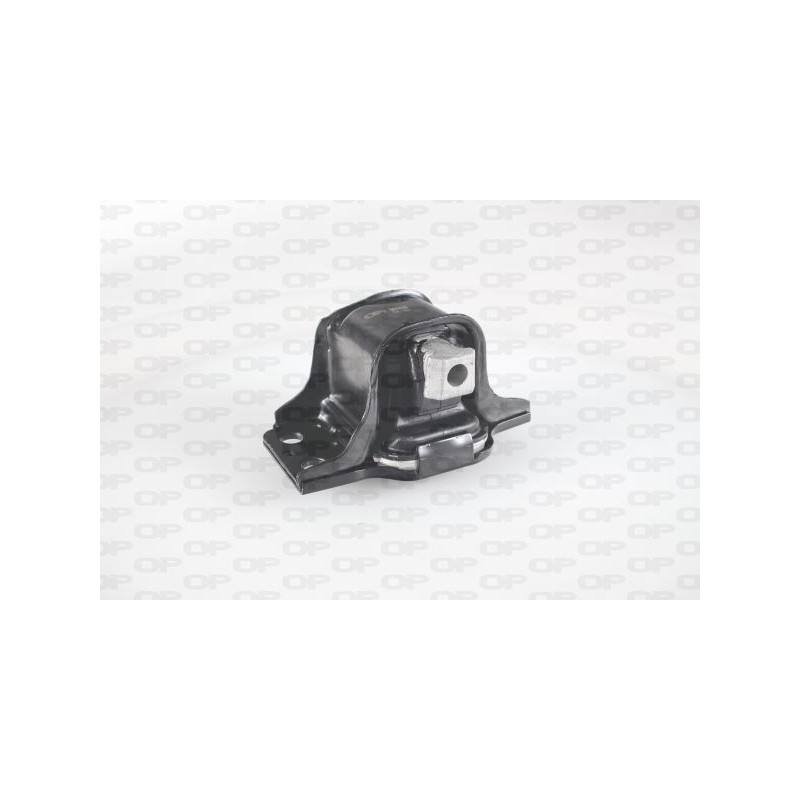 Supporto Motore EMS4149.00
