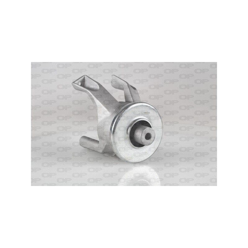 Supporto Motore EMS4153.00