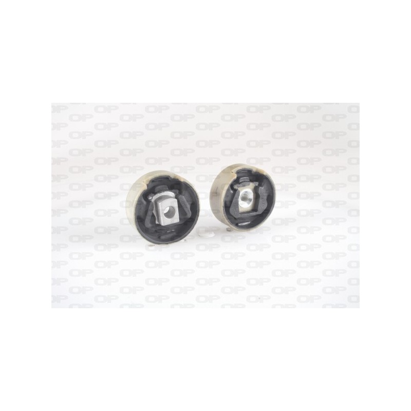 Supporto Motore EMS4155.00