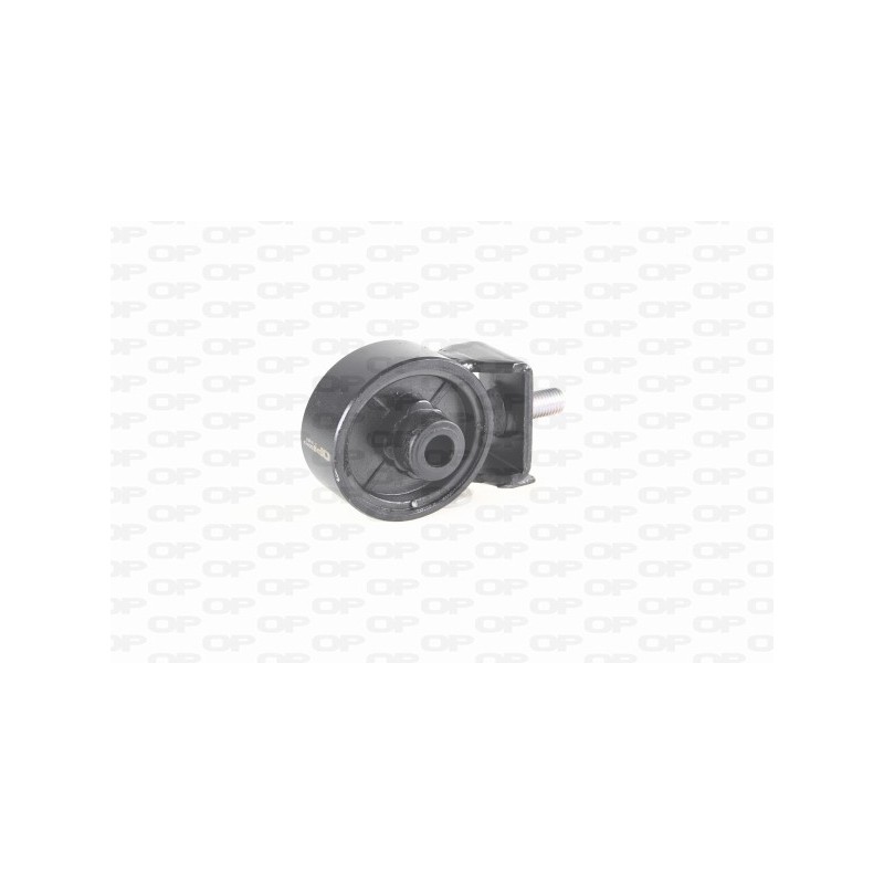 Supporto Motore EMS4161.00