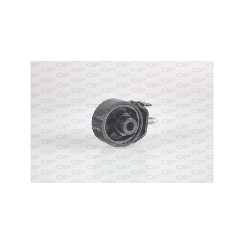 Supporto Motore EMS4162.00