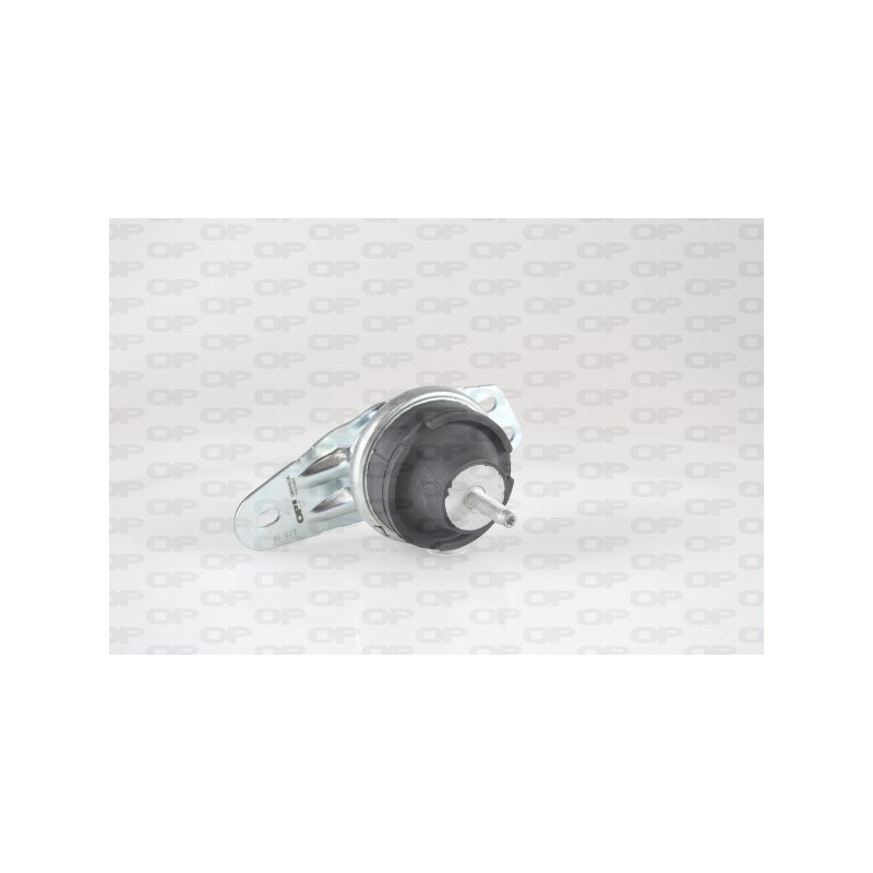 Supporto Motore EMS4163.00