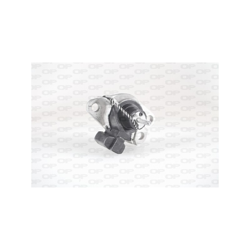 Supporto Motore EMS4166.00