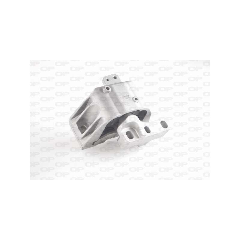 Supporto Motore EMS4171.00
