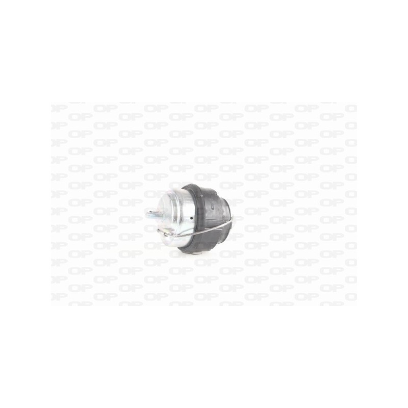 Supporto Motore EMS4172.00