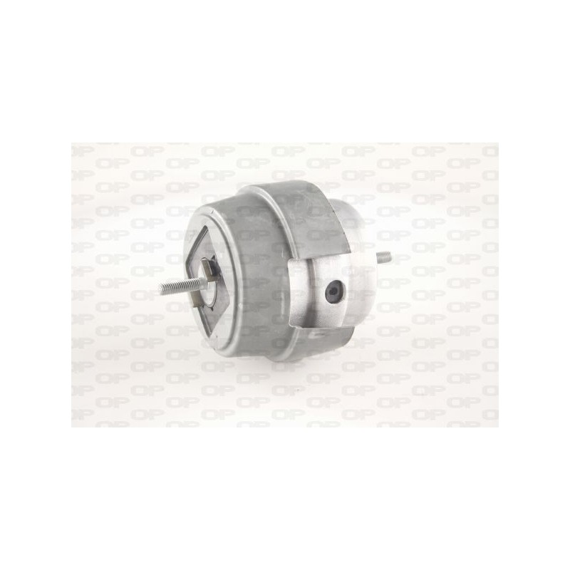 Supporto Motore EMS4176.00