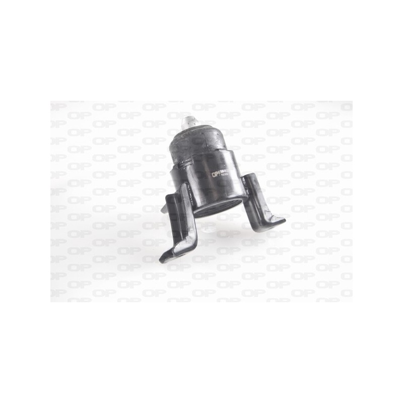 Supporto Motore EMS4181.00