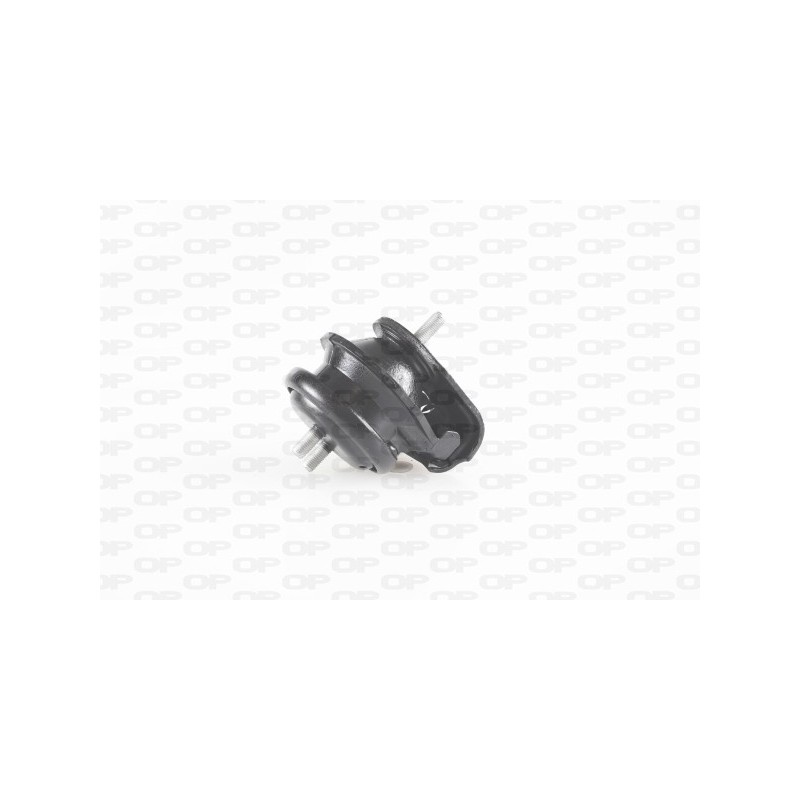Supporto Motore EMS4199.00