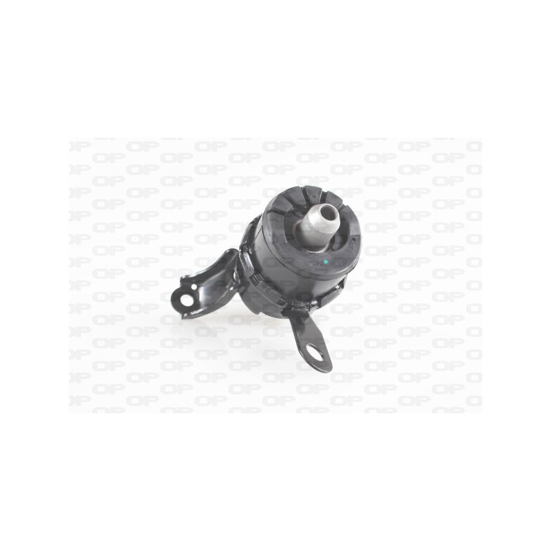 Supporto Motore EMS4200.00
