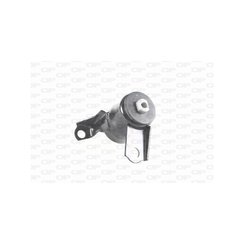 Supporto Motore EMS4201.00