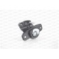 Supporto Motore EMS4203.00