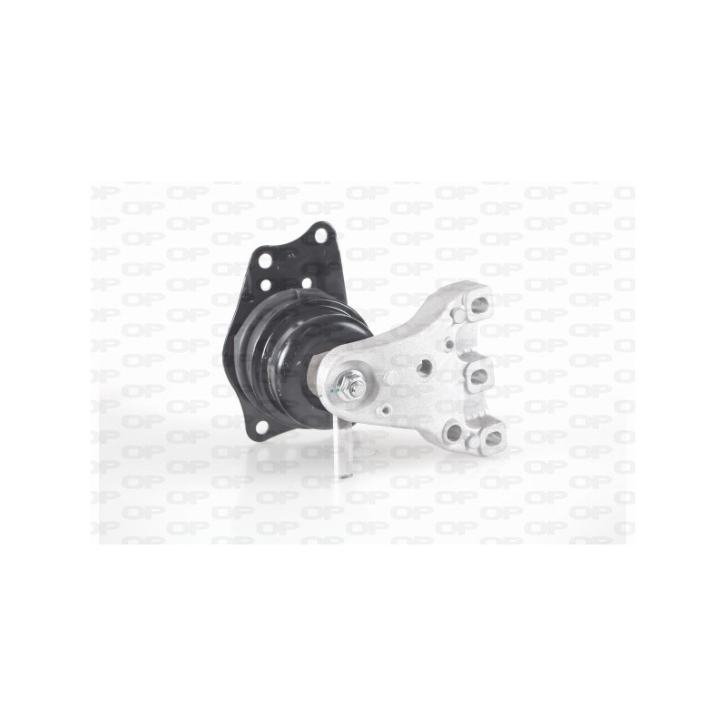 Supporto Motore EMS4206.00
