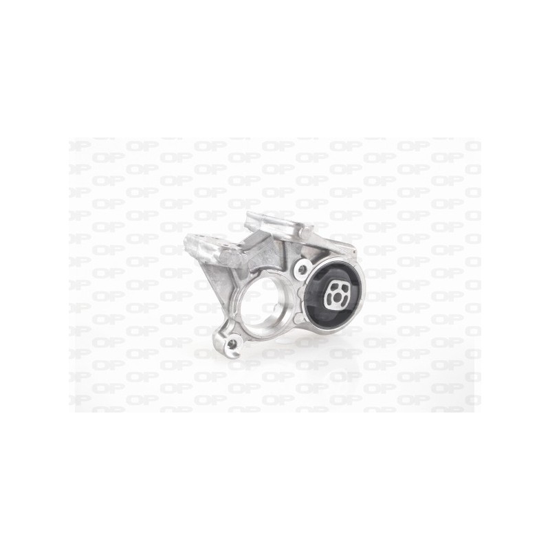 Supporto Motore EMS4207.00
