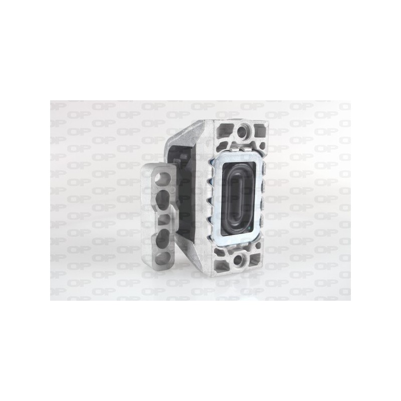 Supporto Motore EMS4210.00